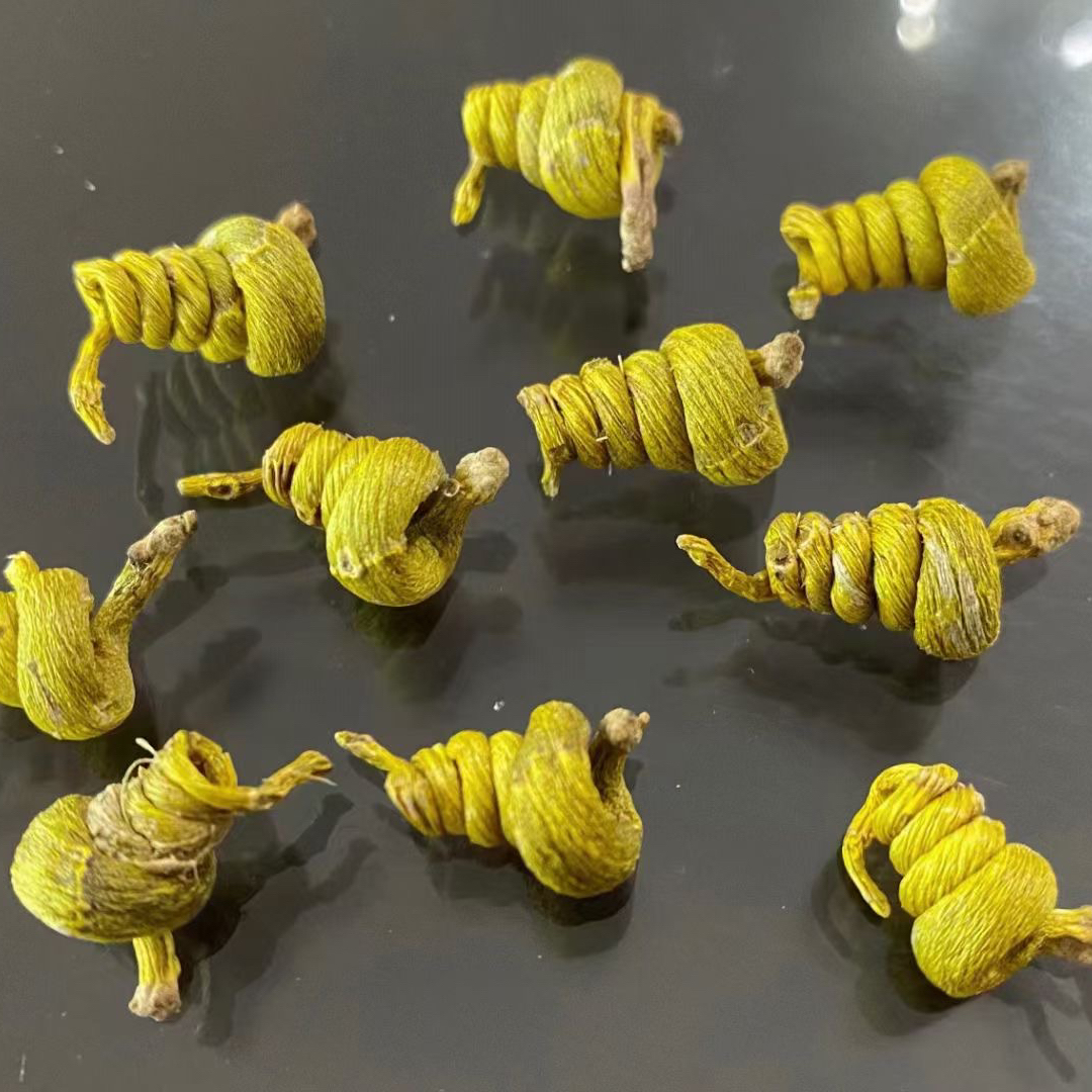 石斛